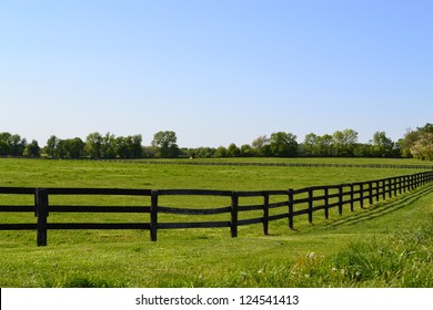 Kentucky Horse Farm