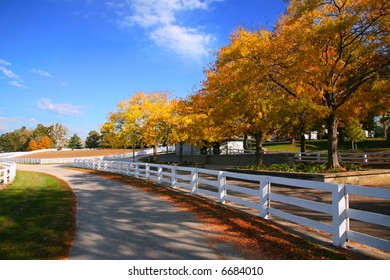 Kentucky Horse Farm With Beautiful White Fences