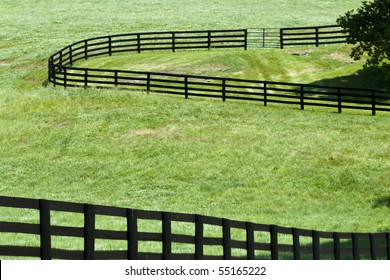 Kentucky Horse Farm Near Lexington, KY USA