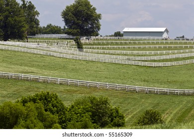 Kentucky Horse Farm Near Lexington, KY USA