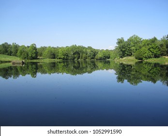 Kentucky Lake Views