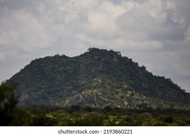 Kenya: Tsavo West National Park