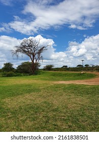 Kenyan Landscape, Masai Mara, Kenya