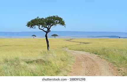 Kenyan Masai Mara Savannah Landscape In Summer. Africa, Kenya