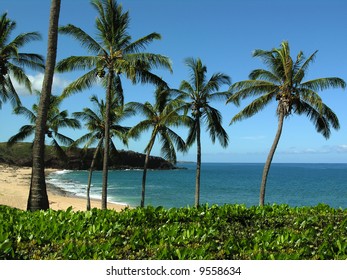 Kepuhi Bay Molokai Hawaii