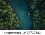 Kerala aerial landscape image, Beautiful backwaters surrounded with coconut trees, Stunning drone view of river in Kannur, India tourism concept photo