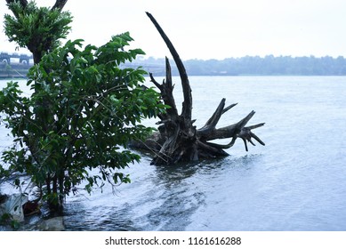 Kerala Flood Disaster House And Places Submerged In Water In Kuttanad Alleppey India. 