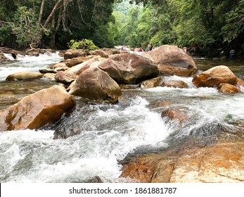 Kerala Ponmudi Hill Station Scenery Green Stock Photo 1861881787 ...