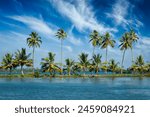 Kerala travel tourism background - Palms at Kerala backwaters. Allepey Alappuzha, Kerala, India. This is very typical image of backwaters.