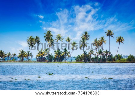 Kerala travel tourism background -  Palms at Kerala backwaters. Allepey, Kerala, India. This is very typical image of backwaters.