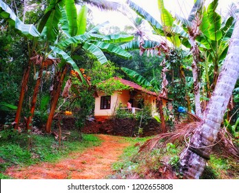 Kerala Village Home In Farm