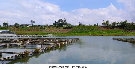 Keramba Di Danau Saguling, Bandung Barat