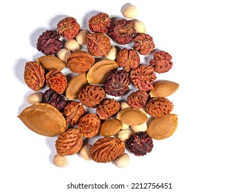 Kernels of different types of stone fruit - Shutterstock ID 2212756451