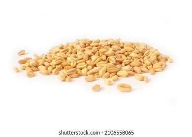 Kernels Of Organic Soft White Wheat Berries In A Pile Isolated On White