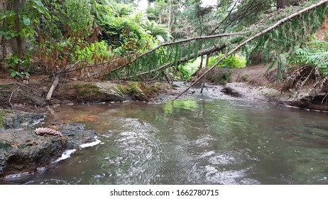 Kerosene Creek, Old Waiotapu Road, Rotorua NZ