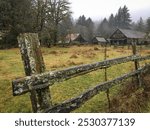 Kestner Homestead and moss and lichen-covered fence on a wet winter day, Maple Glade Rain Forest, Quinault, Washington