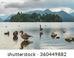 KESWICK, UK - SEP 9, 2014: Derwent Water and geese in the English Lake District
