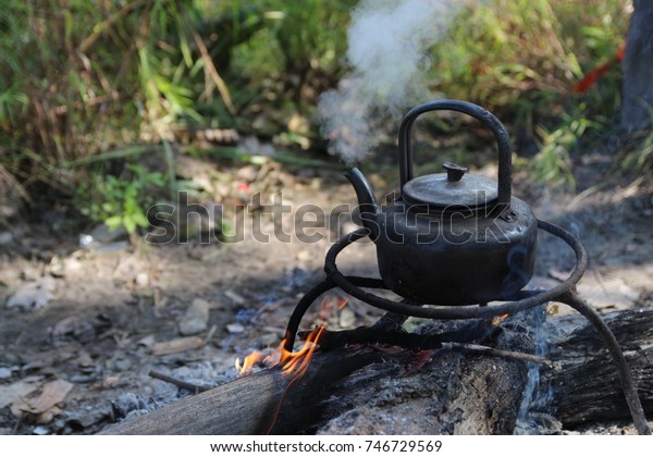 Kettle On Fireplace Forest Stock Photo Edit Now 746729569