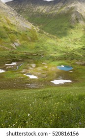 Kettle Ponds And Wildflowers Up Palmer Creek, Alaska