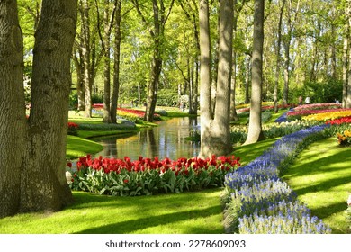 Keukenhof gardens blooming spring flowers by the pond. Beautiful ornamental garden landscape at Lisse, Netherlands.
