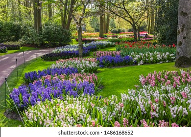 Keukenhof, Lisse, Netherlands - 18 April 2019: The view of different corners of the Keukenhof park, the worlds largest flower and tulip garden park in Holland. One of the most popular destination in t