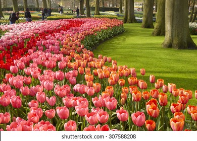 Keukenhof, The Netherlands