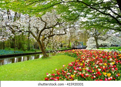 Keukenhof park of flowers and tulips in the Netherlands. Beautiful outdoor scenery in Holland