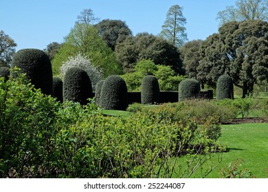 Kew Garden Bush Sculptures