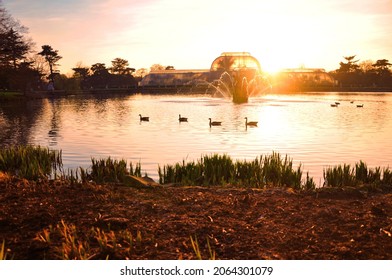 Kew Gardens Palm House In Beautiful Sunset With Swans In The Pond