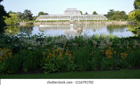 Kew Gardens Victorian Palm House In Summer