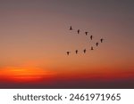 the key of the birds in the sky. Migratory birds flying in the shape of v on the cloudy sunset sky. Sky and clouds with effect of pastel colored.