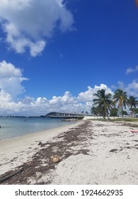 Key Biscayne Beach At Miami