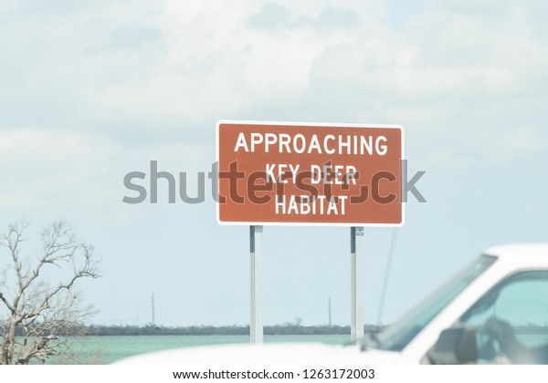 Key Deer\
habitat sign, approaching on road, street, traffic green sign on\
overseas highway, US1 route in Florida\
keys