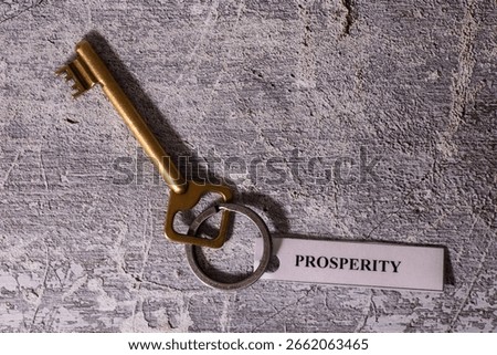 Key with the label Prosperity