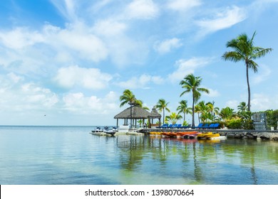 Key Largo (Florida, USA). Beautiful landscape. Desktop background. Sea & palmtrees.