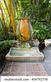 KEY WEST, FLORIDA, USA - MAY 03, 2016: Former Urinal In The Garden Of The Ernest Hemingway House In Key West In Florida. It Is Now Used By Cats To Drink.