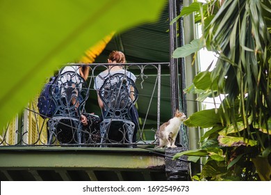 Key West, Florida, USA - November 3, 2019: Visitors And A Cat In Hemingway House 