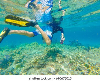 Key West Snorkelling in the Florida Keys Marine Sanctuary