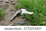Keys lost in the grass