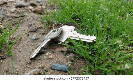 Keys lost in the grass