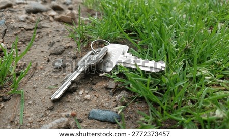 Keys lost in the grass