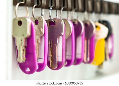 Keys with multi-colored tags hang in the wall box for storing the keys, close-up.