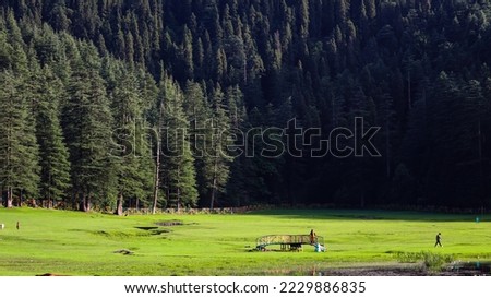Khajjiar Mini Switzerland of India, Dark landscape with view of deodar tree and house with selective focus. Landscape view of Khajjiar gound with copy space during summer.
