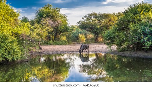 Khama Rhino Sanctuary, Serowe, Botswana