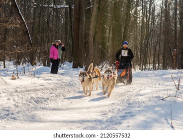 Kharkiv  Ukraine  02.05.2022, Winter Dog Fest 2022: Nordic Sled Dog Competition