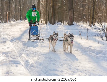 Kharkiv  Ukraine  02.05.2022, Winter Dog Fest 2022: Nordic Sled Dog Competition