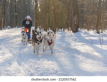 Kharkiv  Ukraine  02.05.2022, Winter Dog Fest 2022: Nordic Sled Dog Competition