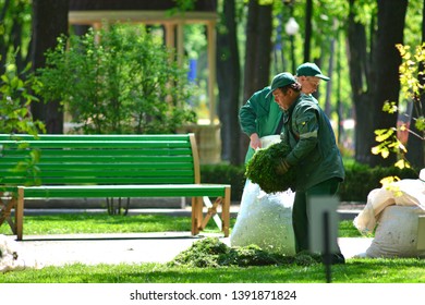Kharkiv, Ukraine - May 4, 2019: Professional gardeners put in a bag mowed grass. Municipal lifestyle. - Shutterstock ID 1391871824
