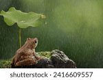 Khiat on the rocks, holding an umbrella with lotus leaf, looking at the rain falling on natural background.