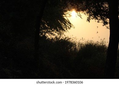 Khijadiiya Bird Sanctuary Location In Jamnagar District Of Gujrat India About 300 Species Of Migratory Birds Khijadia Is Located Just 12 Kh Away From Jamnagar District Headquarters This Sanctuary Is V